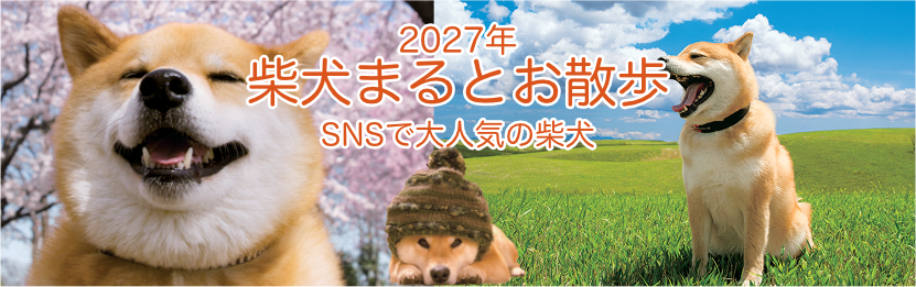 柴犬まる 2027年版カレンダー